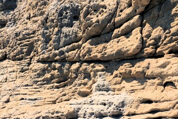 close up of a sandstone formation on the coast of Lopar on the island Rab, Croatia