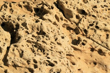 close up of a sandstone formation on the coast of Lopar on the island Rab, Croatia