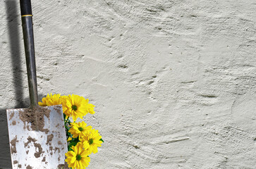 Spaten an einer Hauswand mit Frühlingsblumen #050324.05.3B - 766351096