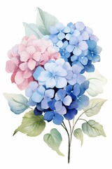 Watercolor hydrangea clipart with clusters of blue, purple, and pink flowers