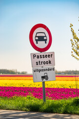 traffic sign in tulip field - 766356227