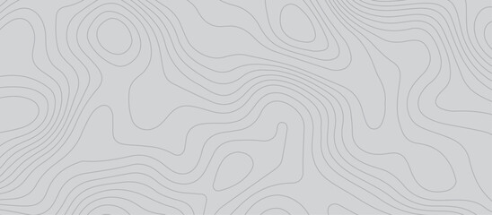 Topographic map background geographic line map pattern .panorama view gray color wave curve lines .geographic mountain relief abstract grid .the concept map of a conditional geography map .