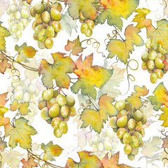 Seamless pattern with green grapes on white background. Grapevine watercolor illustration.
