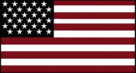 america flag in the style of inverted black