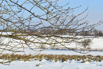 Germany Hessisch Lichtenau Werra Meißner district March 2024