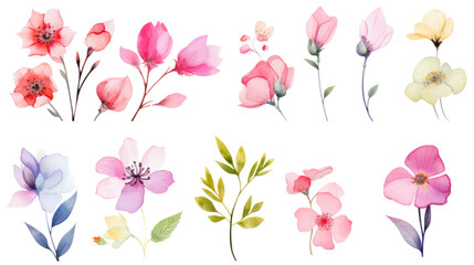 Set of watercolor wildflowers painting isolated on clear png background and transparent background. Fresh and nature concept for nature decorative and flower element, AI generative.	