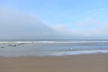 Belgium's coast in winter with sandstorms and sunshine