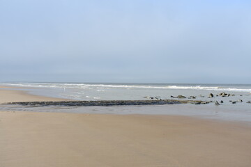 Belgium's coast in winter with sandstorms and sunshine