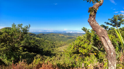 view from mirador la lindora monteverde next to a tree