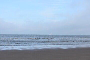 Belgium's coast in winter with sandstorms and sunshine