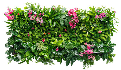 Green garden wall from tropical plants and flowers, cut out - obrazy, fototapety, plakaty