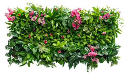 Green garden wall from tropical plants and flowers, cut out