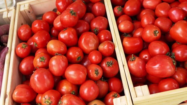Pile of Ripe Cherry Tomatoes in wooden crate ready for cooking for sale in stall at the organic market of Thailand.