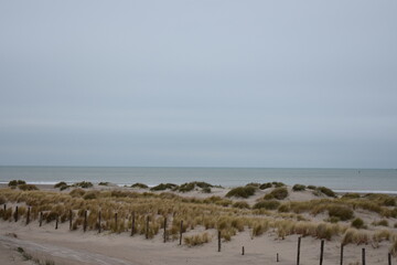 Belgium's coast in winter with sandstorms and sunshine