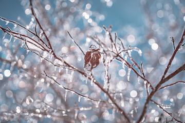 강원도 겨울 풍경