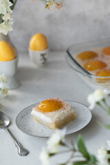 Homemade German Fried Egg Cake Spiegeleierkuchen (Spiegeleiertorte) with apricot and coconut milk pudding. Traditional Easter Dessert. Festive Easter food.