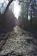 Germany Hessisch Lichtenau Werra Meißner district March 2024