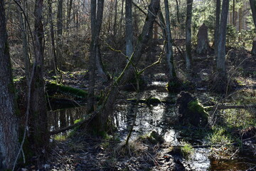 Germany Hessisch Lichtenau Werra Meißner district March 2024