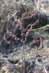 Germany Hessisch Lichtenau Werra Meißner district March 2024