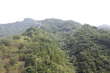 山に消えるしゃぼん玉