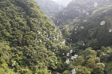 山に飛ぶシャボン玉