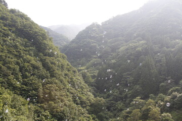 山に飛ぶシャボン玉