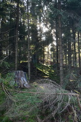 Germany Hessisch Lichtenau Werra Meißner district March 2024