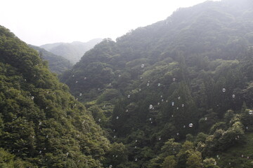 山に飛ぶシャボン玉