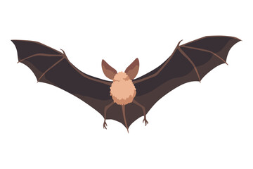 Bat. Concept cartoon bat. Vector clipart illustration isolated on white background