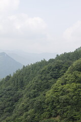 山に飛ぶシャボン玉