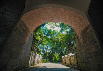 Many trees may be seen in the background of the Fort Canning Park tunnel in Singapore.

