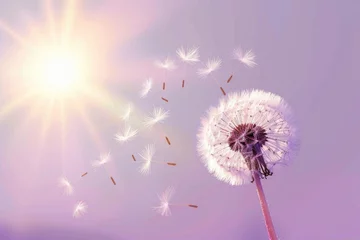 A dandelion is blowing in the wind, with the sun shining brightly in the background. Concept of freedom and spontaneity, as the dandelion's seeds are carried away by the wind © vefimov