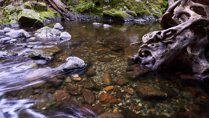 An unique old tree trunk resting in a river bed with rusty colored rocks and rushing water. © Wirestock