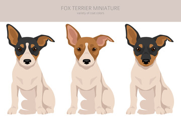 Fox Terrier miniature puppy clipart. Different coat colors set - 766381036