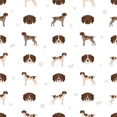French pointing dog, Gascogne type seamless pattern. Different poses, coat colors set