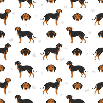 Greek Harehound seamless pattern. Different coat colors set
