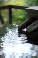 檜木の露天風呂