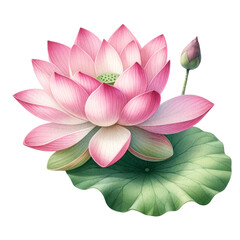 Watercolor of A pink flower with a green leaf is the main focus of the image, Clipart, Flower, isolated on a transparent background