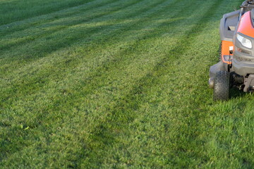 Koszenie trawy, kosa do trawy, idealny trawnik po skoszeniu kosą, zielony trawnik, pielęgnacja trawnika.