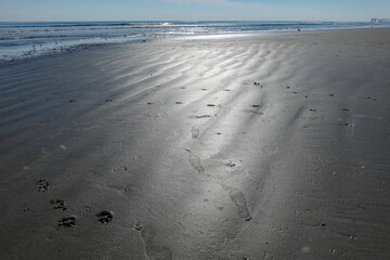 Glare reflection on smooth wet beach sand with shoe and paw footprints near the ocean