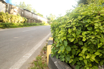 a photo taken spontaneously while walking along the coast close to the beach