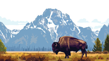 Lone Bison Grazing With Grand Tetons Backdrop flat ve