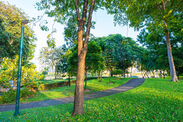 Pathway in green tree city public park sunset light with building