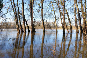 Loire river flood in Chécy village. Loire valley - 766400434