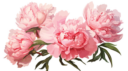 Peony isolated on white oil painting flat vector 