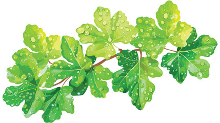 Poison Oak Leaves with Water Droplets flat vector iso