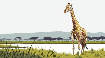 Rothschild Giraffe at Lake Nakuru National Park Kenya