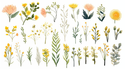 Watercolor illustration of isolated elements flowers
