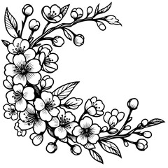 border of sakura flower, in simple line art cartoon outline vector illustration, isolated on transparent background
