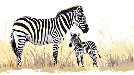Zebra With Foal Standing at Kruger National Park South